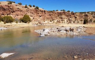 Historic channel reopened to increase habitat