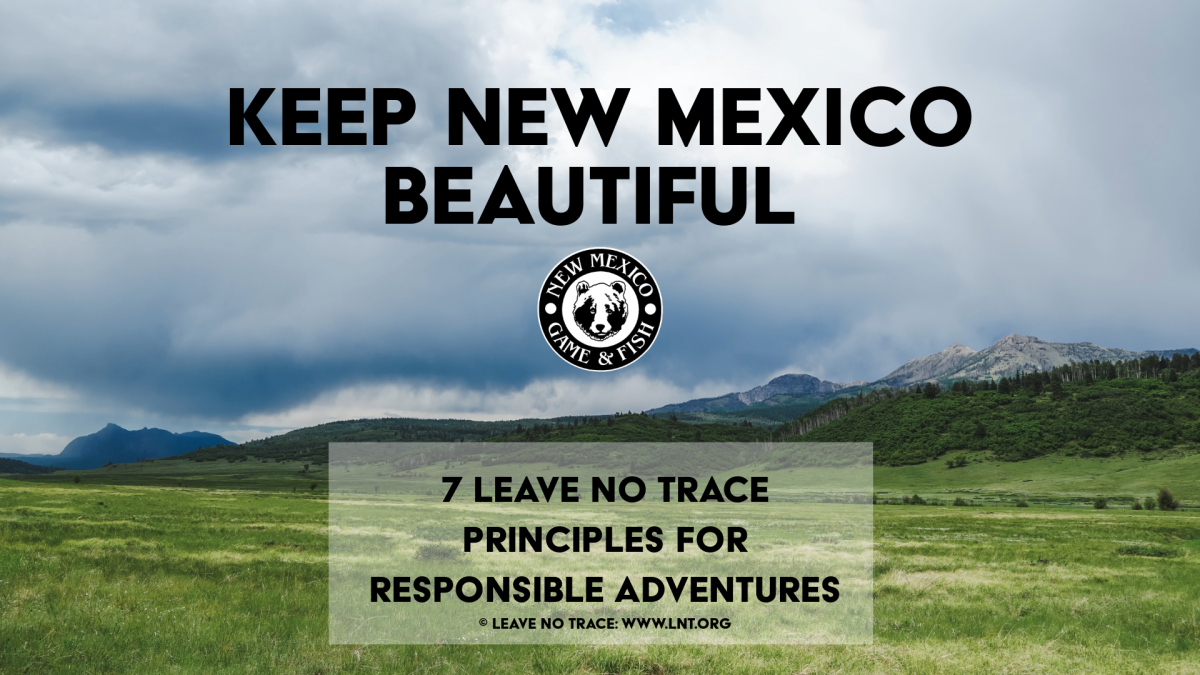 Help Nm Help Keep New Mexico Beautiful! - NMDOW
