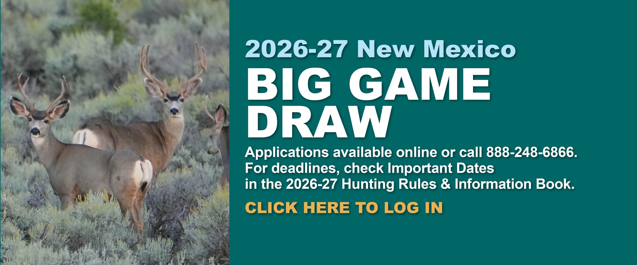 2026-2027 New Mexico Big Game Draw