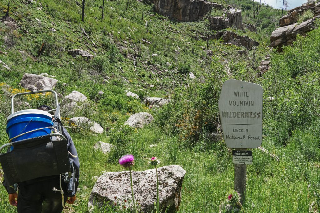 why yy? cover photo.