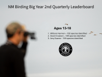 Slide thumbnail