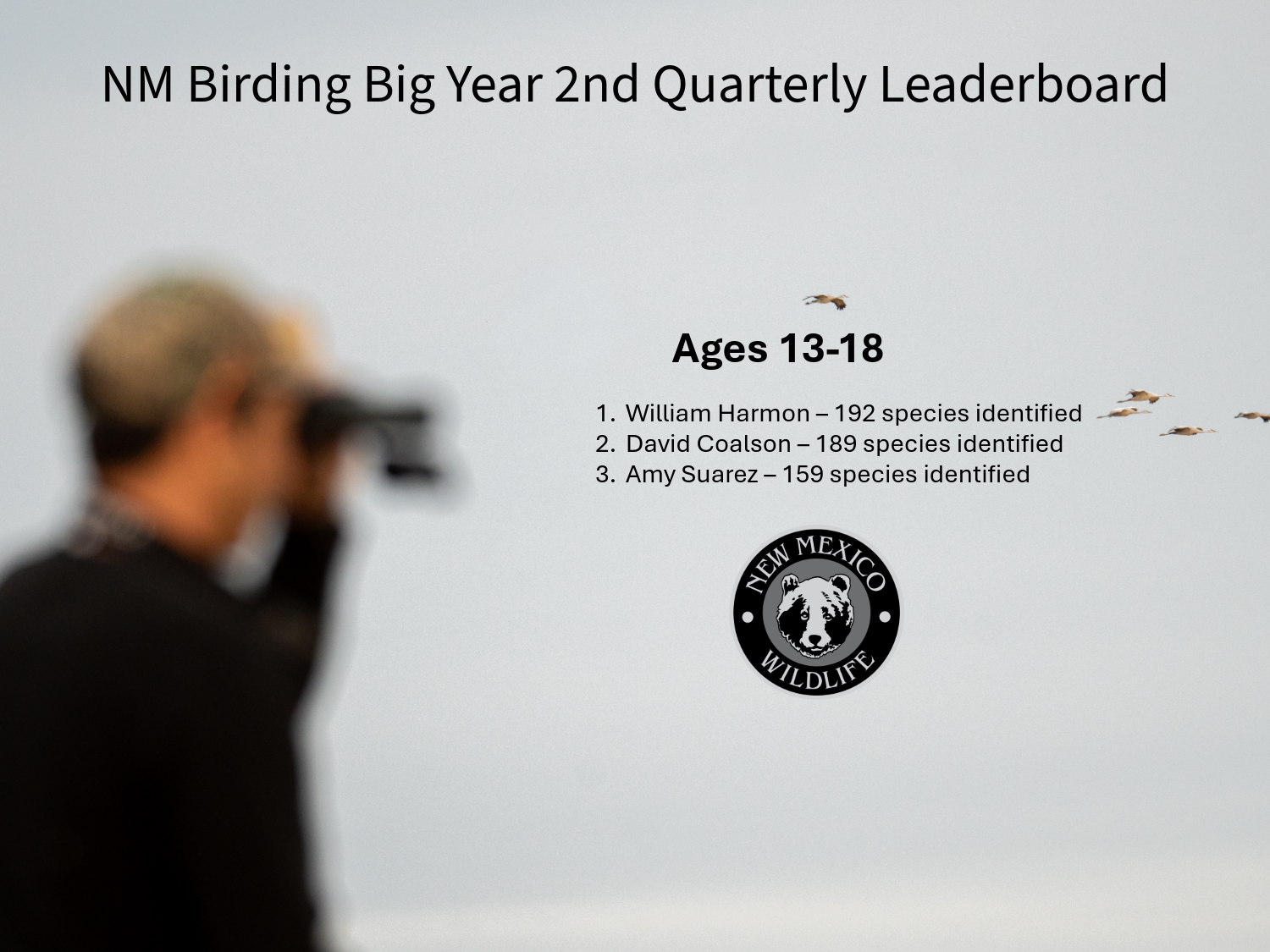 2026 Birding Big Year Q2 Leaderboard - Ages 13-18