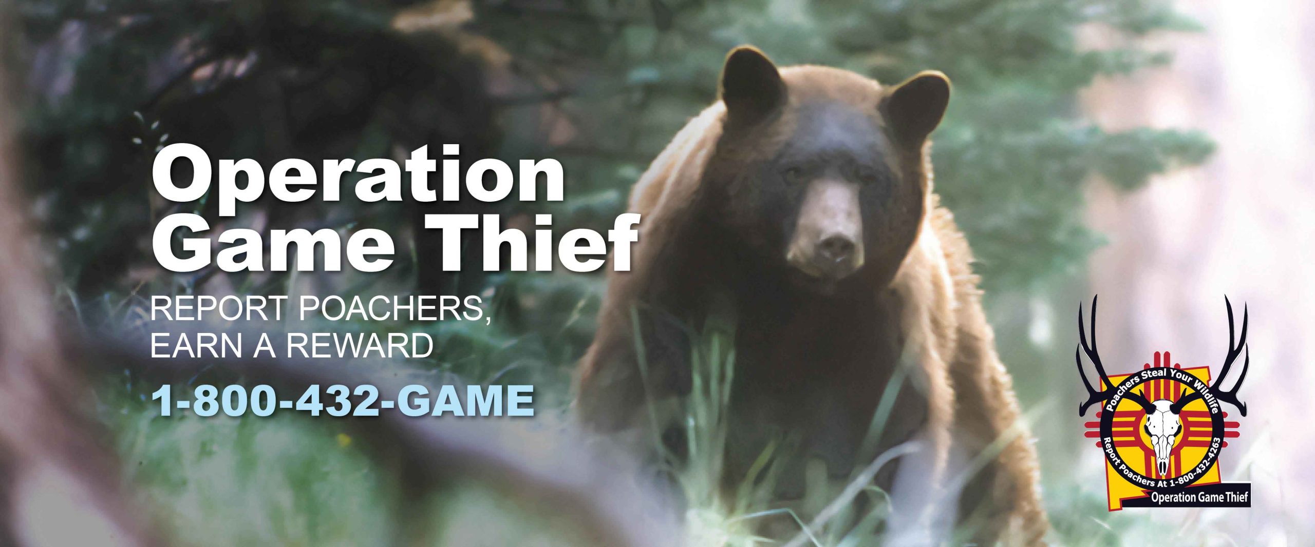 Report poachers at 1-800-432-4263 to New Mexico Game and Fish, Earn a Reward. Poachers Steal Your Wildlife - Contact Operation Game Thief.