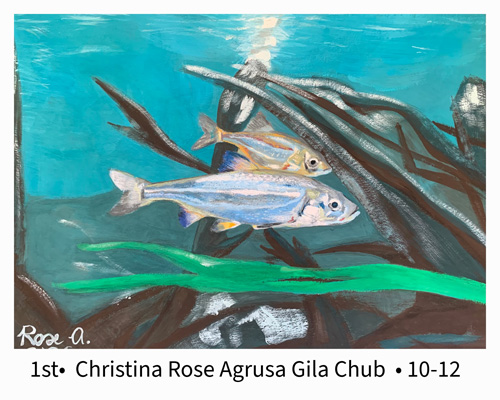 First Place Grades 10-12 Christina Rose Agrusa Gila Chub
