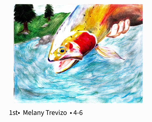 First Place Grades 4-6 Melany Trevizo - Rainbow Trout