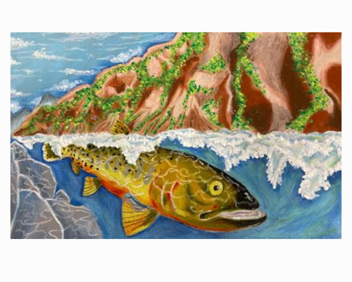 First Place Native Trout - Rio Grande Cutthroat Trout by Kevin Villa