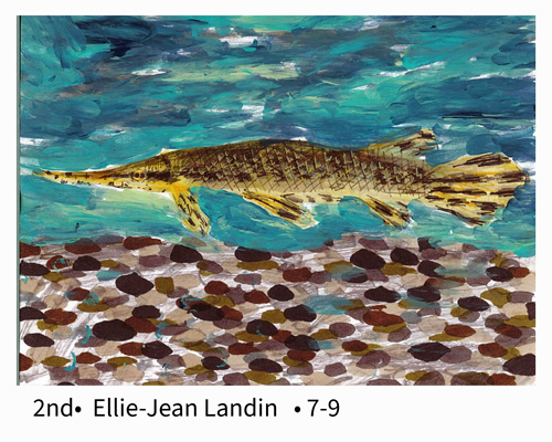 Second Place Grades 7-9 Ellie-Jean Landin - Longnose Gar