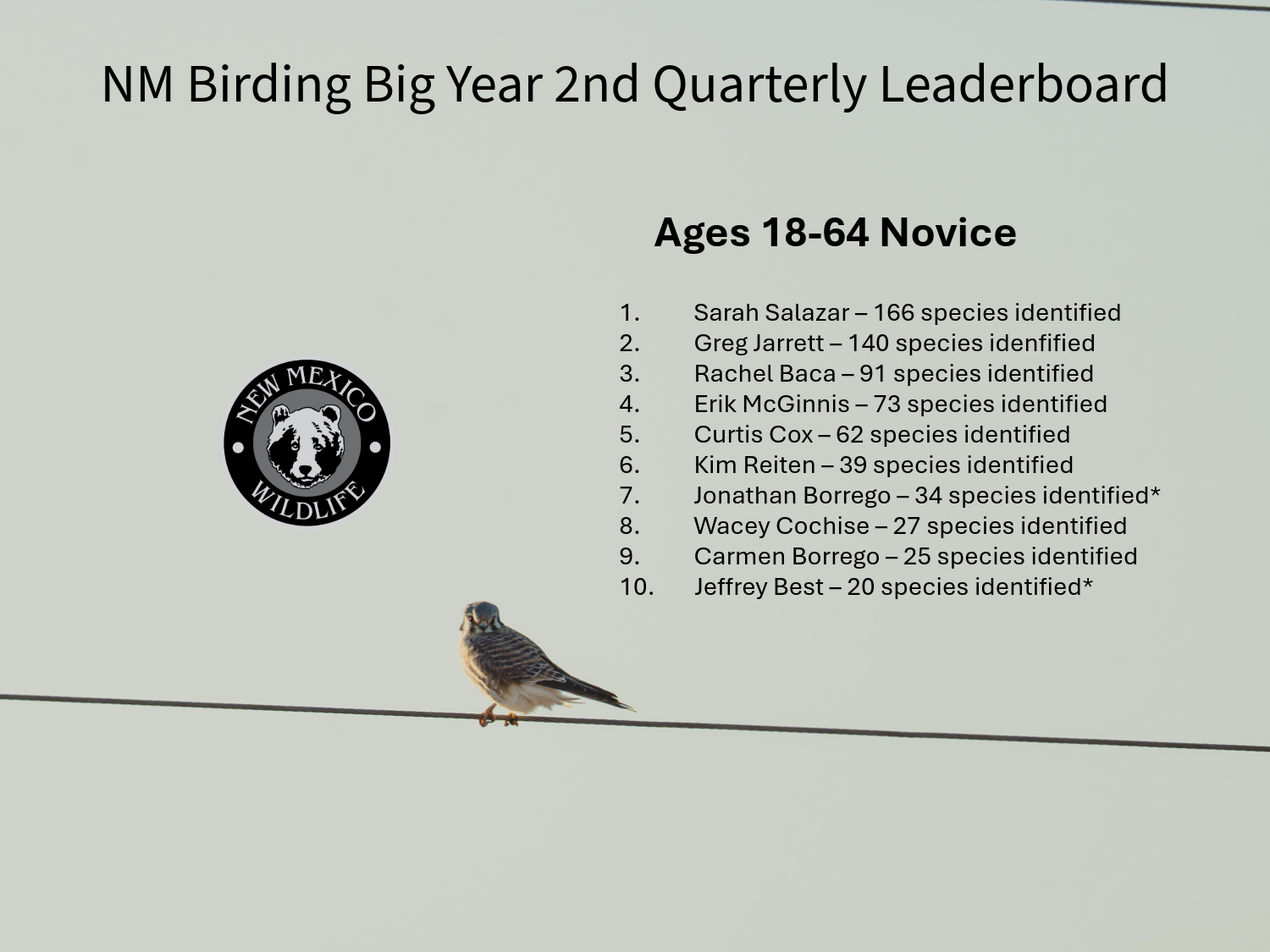2026 Birding Big Year Q2 Leaderboard Ages 18-64 Novice