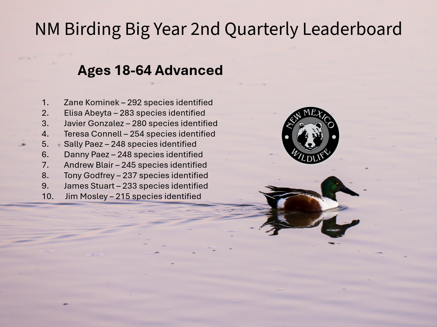 2026 Birding Big Year Q2 Leaderboard Ages 18-64 Advanced