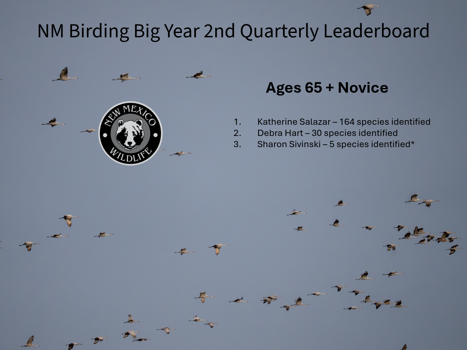 2026 Birding Big Year Q2 Leaderboard Ages 65+ Novice