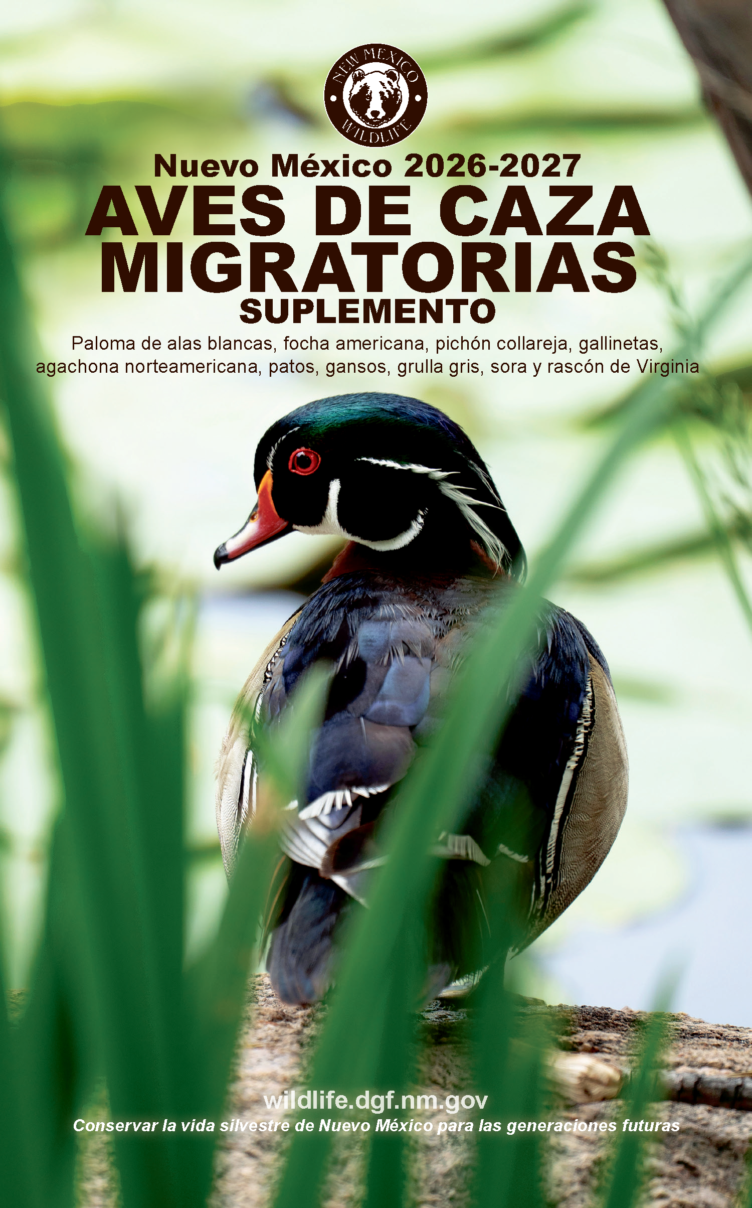 2026-2027 Nuevo Mexico Aves De Caza Migratorias Suplemento