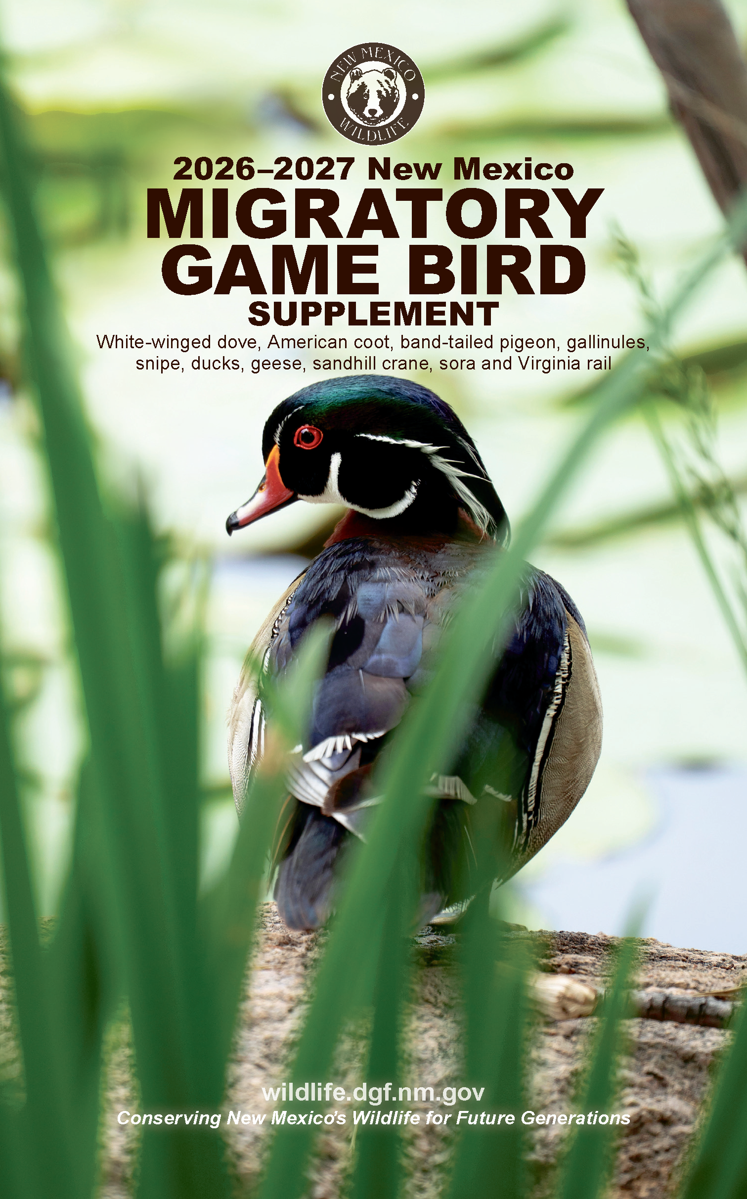 2026-2027 New Mexico Migratory Game Bird Hunting Rules and Info