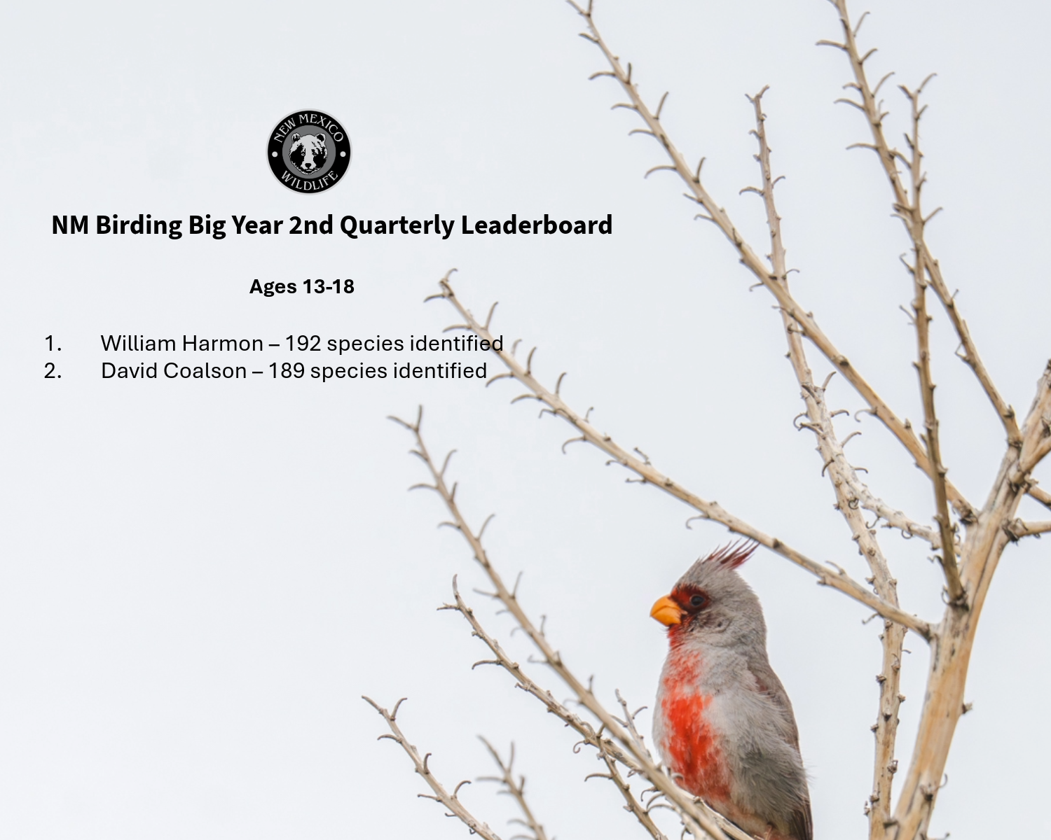 2026 Birding Big Year Q2 Leaderboard - Ages 13-18
