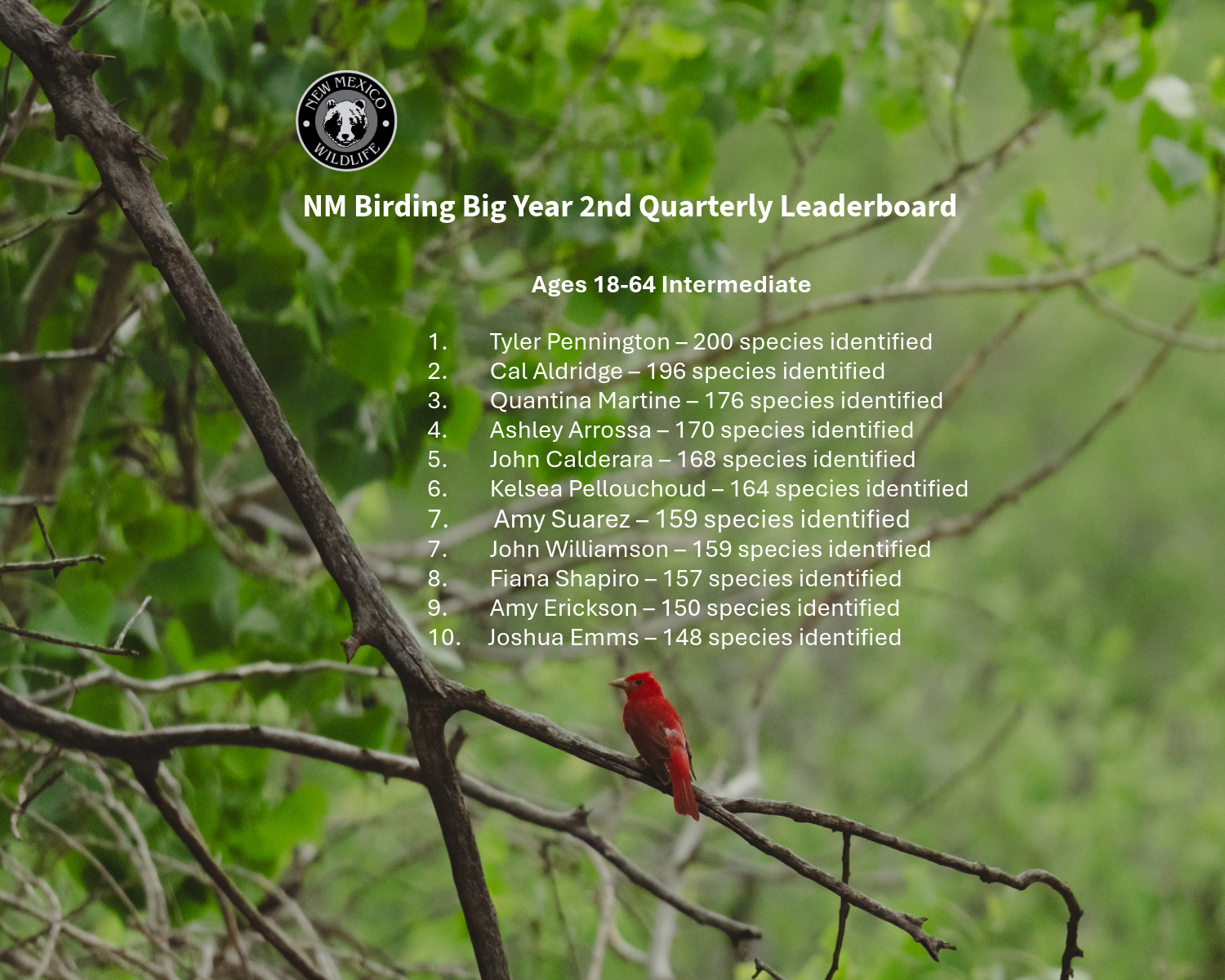 2026 Birding Big Year Q2 Leaderboard Ages 18-64 Intermediate