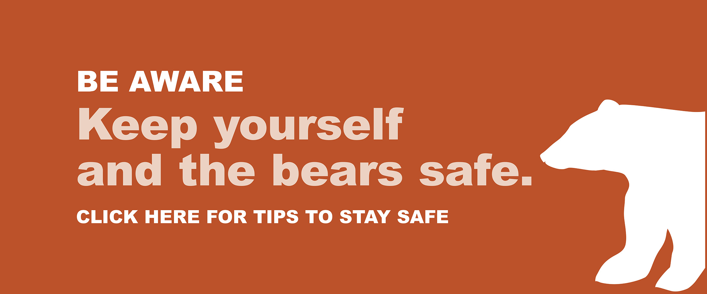 Keep yourself and the bears safe