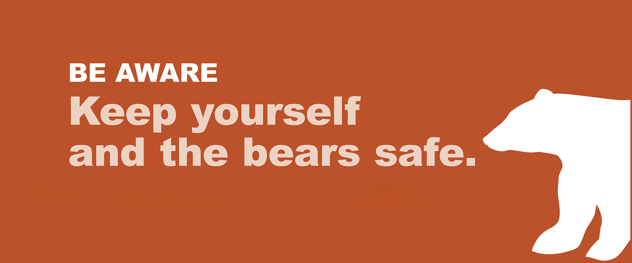Be Aware Keep Yourself and the Bears Safe
