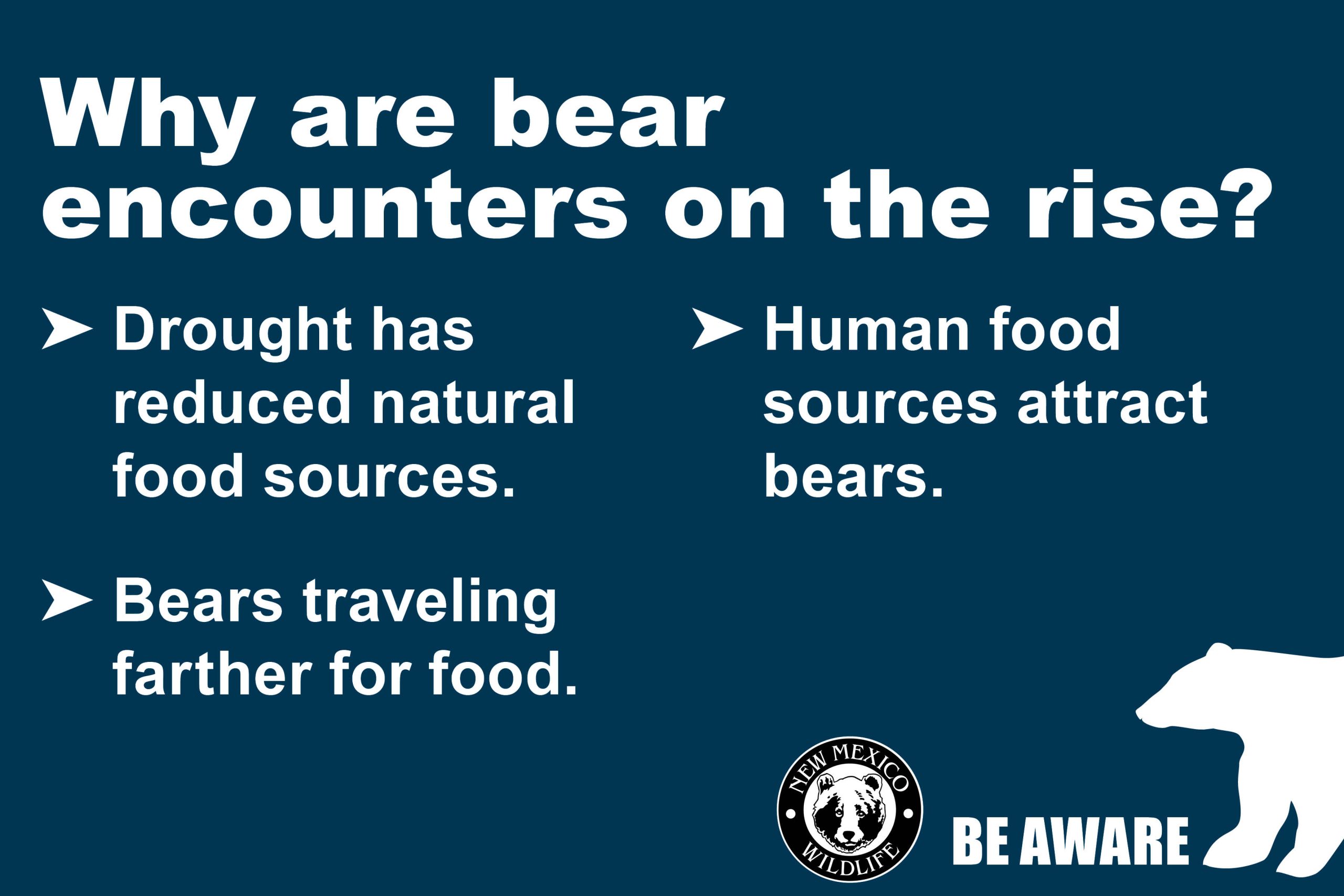 Why are bear encounters on the rise?