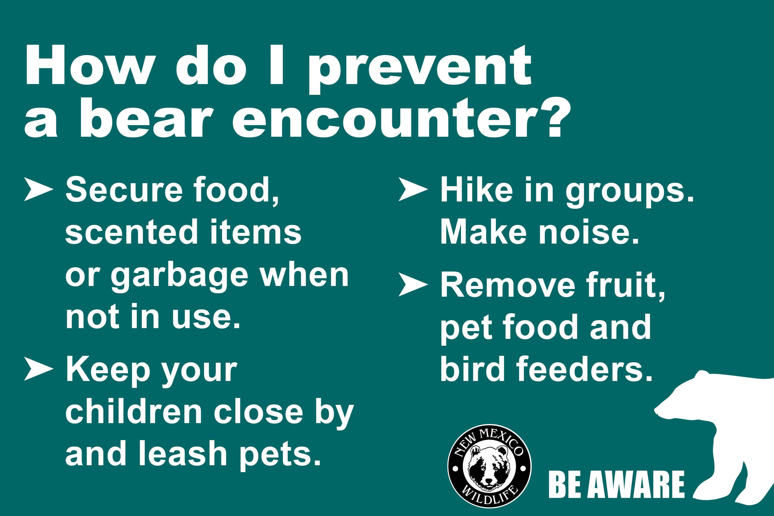 How do I prevent a bear encounter?