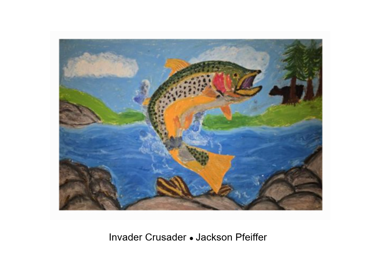 Winner of Invader Crusader Category