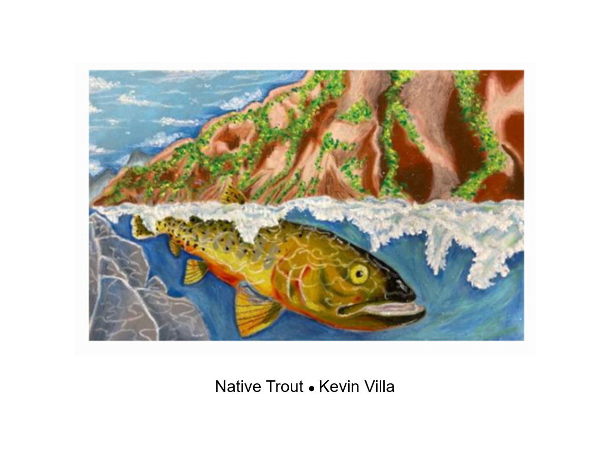 Winner of Native Trout Category